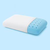 Buy 1 Pillow
